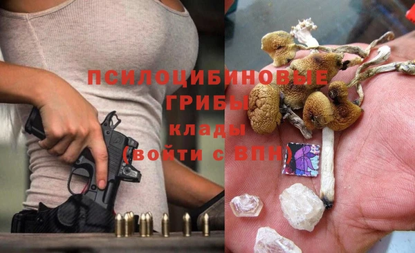 стаф Белоозёрский
