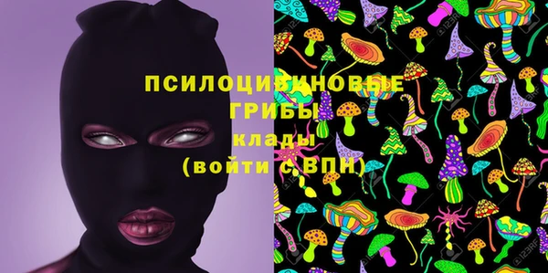 таблы Белокуриха